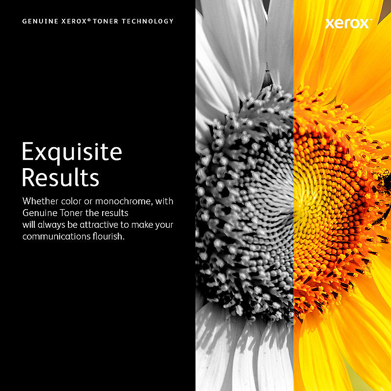 Xerox Tromlemodul - Billede 7