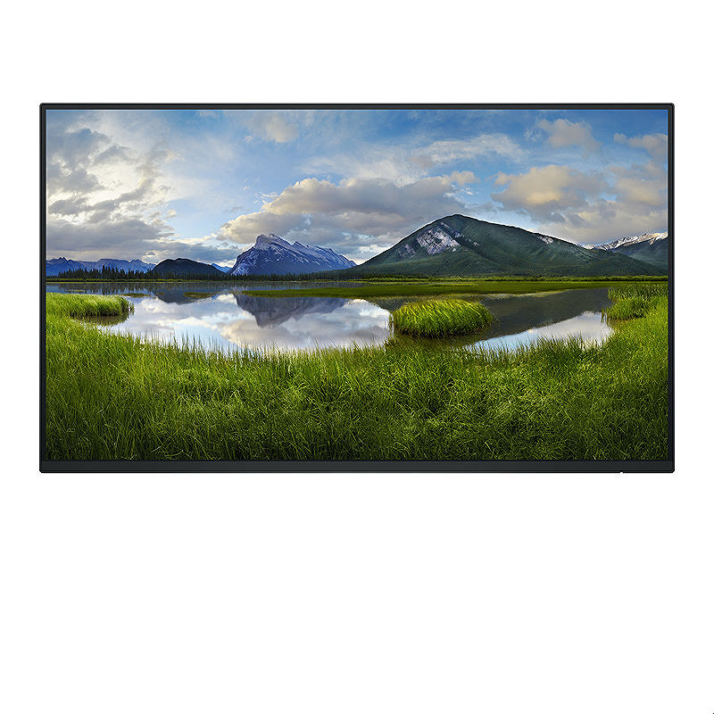 DELL Pro Plus P2425HE_WOST computer monitor