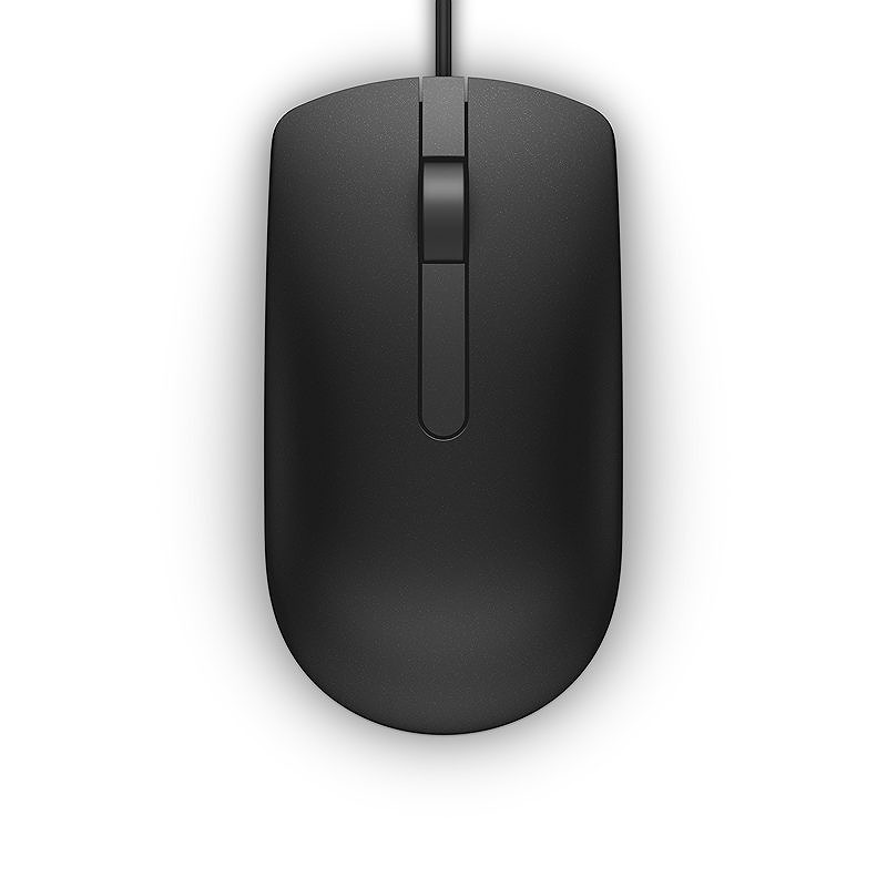 DELL MS116 mus Kontor Ambidextrous USB Type-A Optisk 1000 dpi