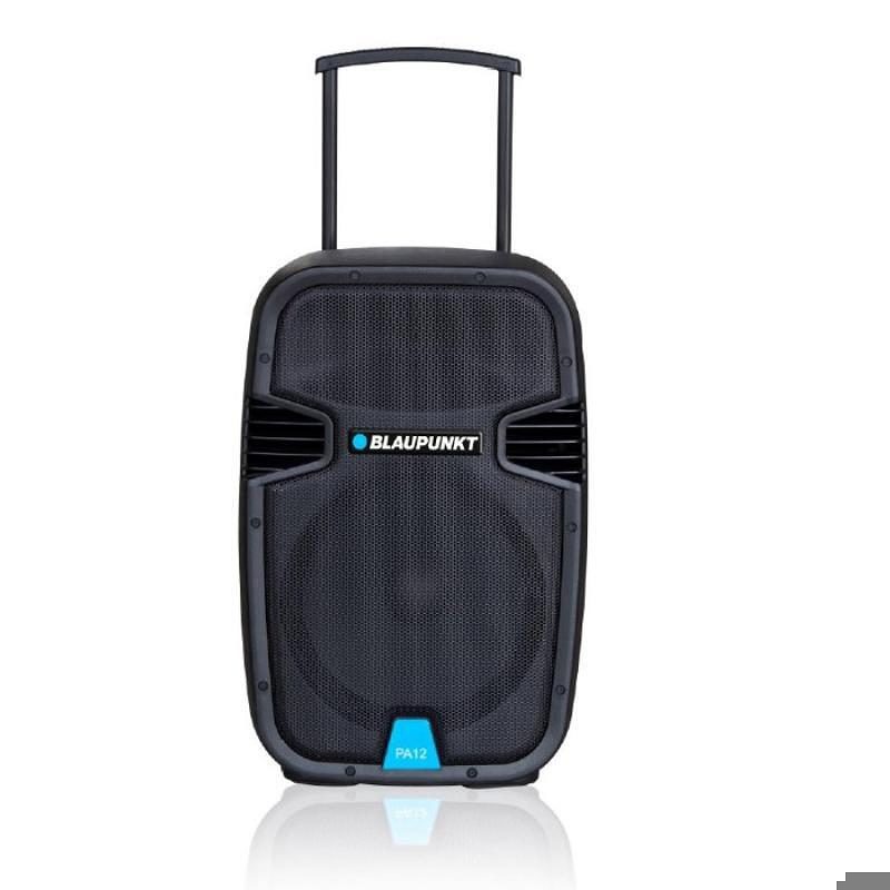 Blaupunkt Profesional System