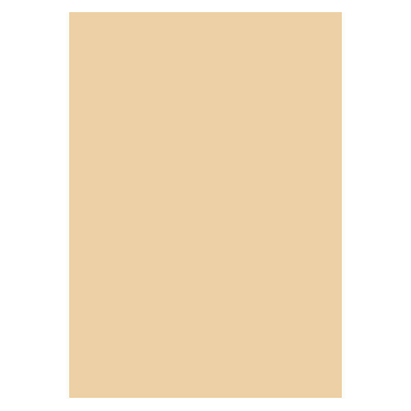 Karton A4 170 Gram Beige 10 Ark