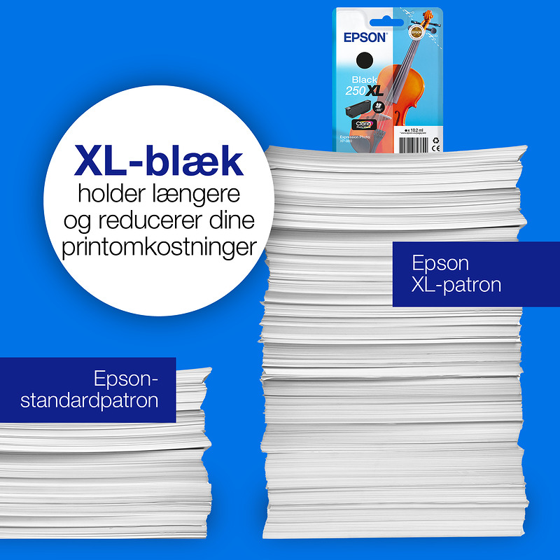 Epson Enkeltpakke, sort 250 Violin Claria Photo HD-blæk - Billede 4