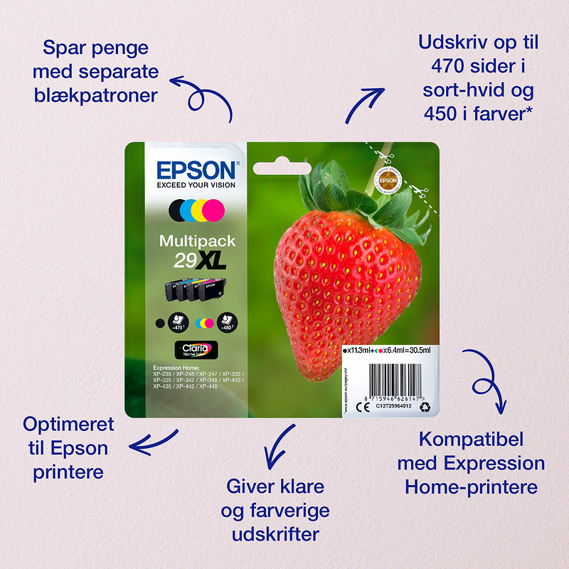 Epson Strawberry C13T29864012 ink cartridge