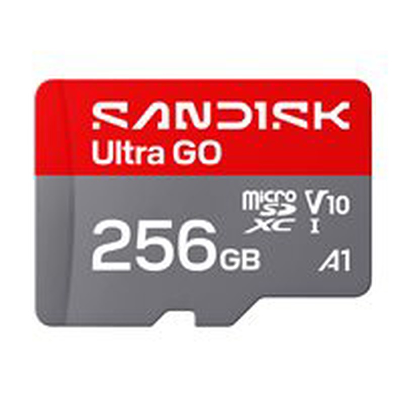 SanDisk Micro SD card SDSQUGN-256G-GN6MN / Ultra GO 256GB Grey, red