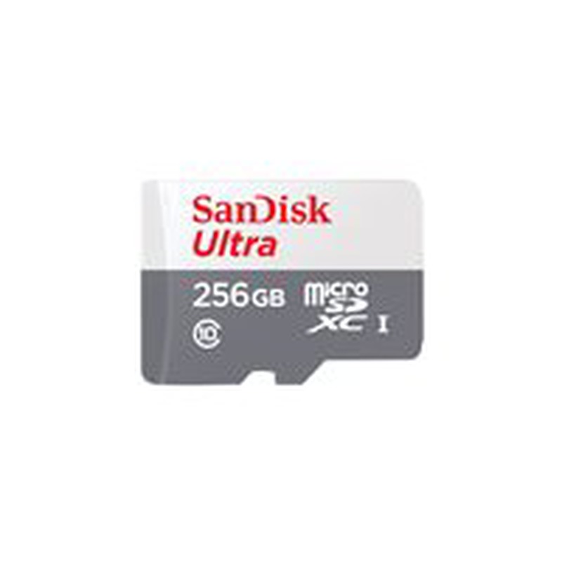 SanDisk Micro SD-Karte SDSQUNR-256G-GN3MN / Ultra 256GB S Gray/White