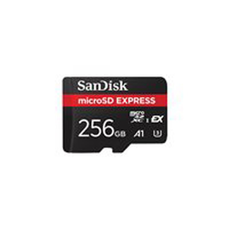 SanDisk Micro SD-Karte SDSQXFN-256G-GN4NN / Express 256GB S Black